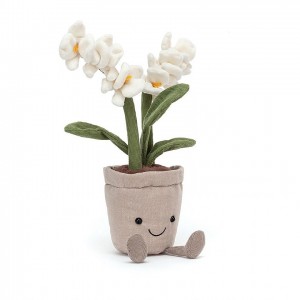 Jellycat Amuseable Cream Orchid 27 CM X 10 CM, Jellycat USA | AR8540276