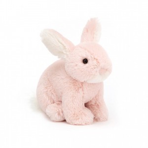 Jellycat Minilop Rose Bunny 10 CM X 7 CM, Jellycat USA | CP1470285