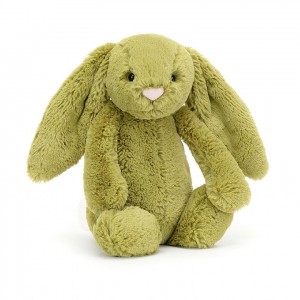 MEDIUM Jellycat Bashful Moss Bunny 31 CM X 12 CM, Jellycat USA | DE2830195