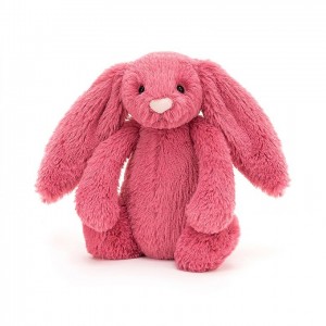 TINY Jellycat Bashful Cerise Bunny 13 CM X 6 CM, Jellycat USA | BH5067912